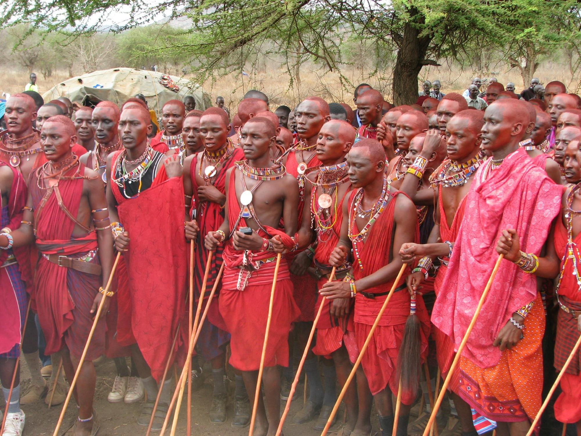 Maasai Simba Camp - Amboseli hotel view 4